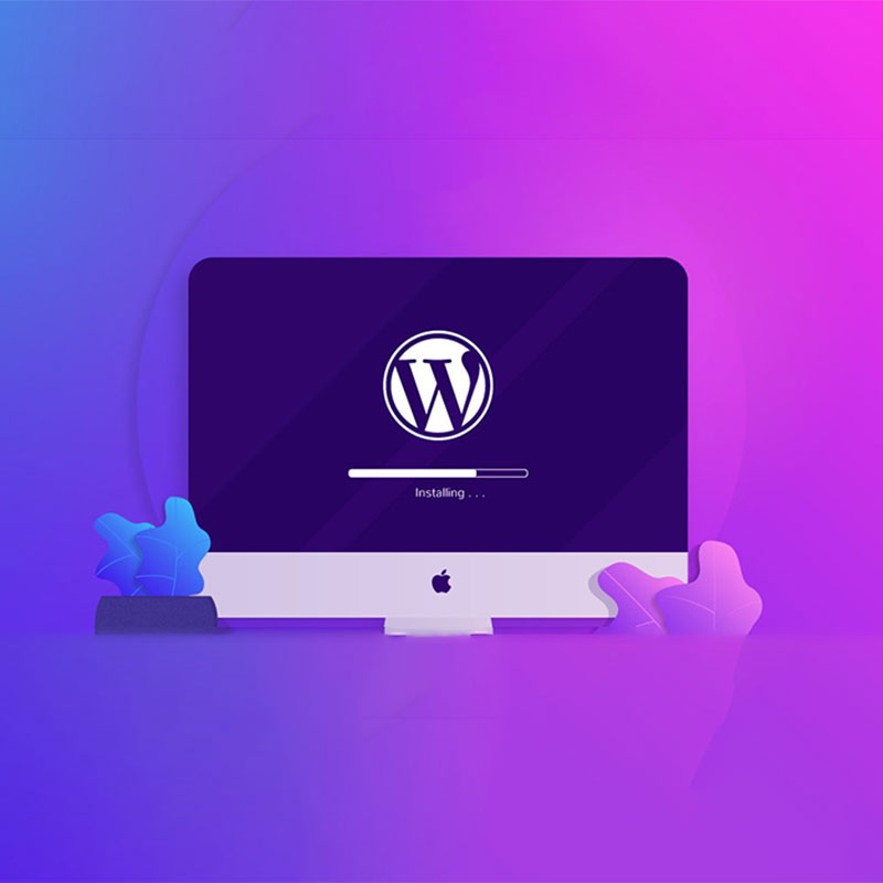怎么安装WordPress？新手入门指南