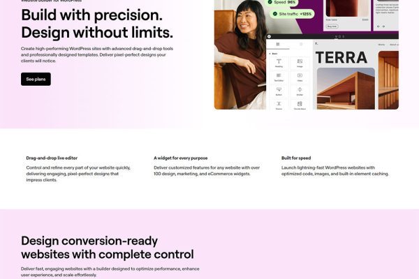 Elementor Pro破解版