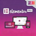 Elementorpro