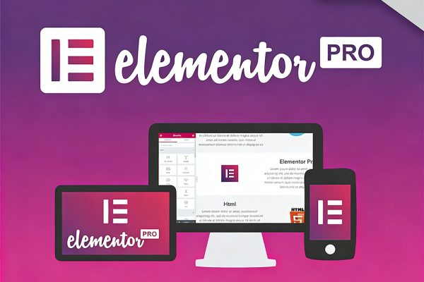Elementor Pro正版授权