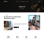 Digrix – 数字营销机构 Elementor 模板套件 2