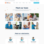 Pet Paws-宠物护理与兽医诊疗 Elementor 模板套件 1