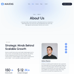 Mavens-社交增长引擎网站 Elementor 模板套件 2