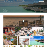 Montavelle-酒店与度假村商务 Elementor 模板套件 3