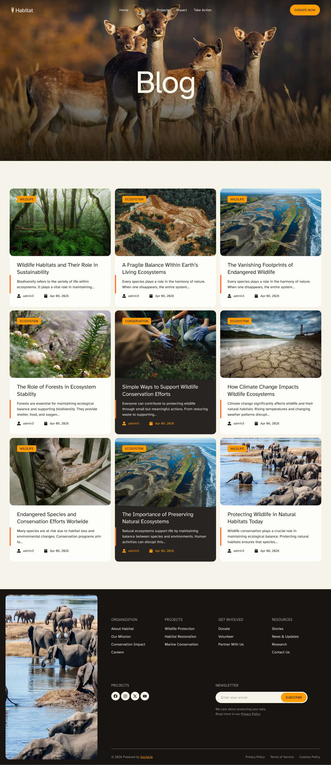 Habitat- 野生动物与生态保护 Elementor 模板套件 Preview 7