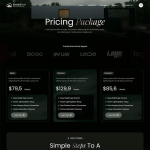 Homiqo-智能家居自动化 Elementor 模板套件 4