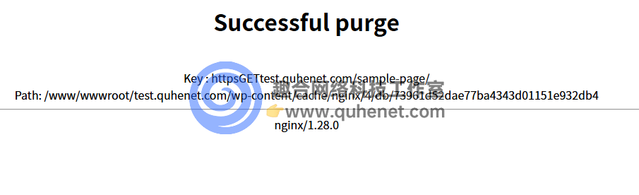 nginx 缓存清理测试