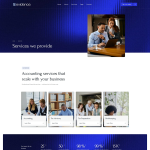 Evidence – 会计税务与 CPA 注册会计师服务 Elementor 模板套件 3