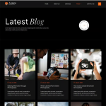Lumeo – 现代摄影作品集 Elementor 模板套件 1