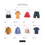 Mollee-时尚店铺 HTML 模板 3